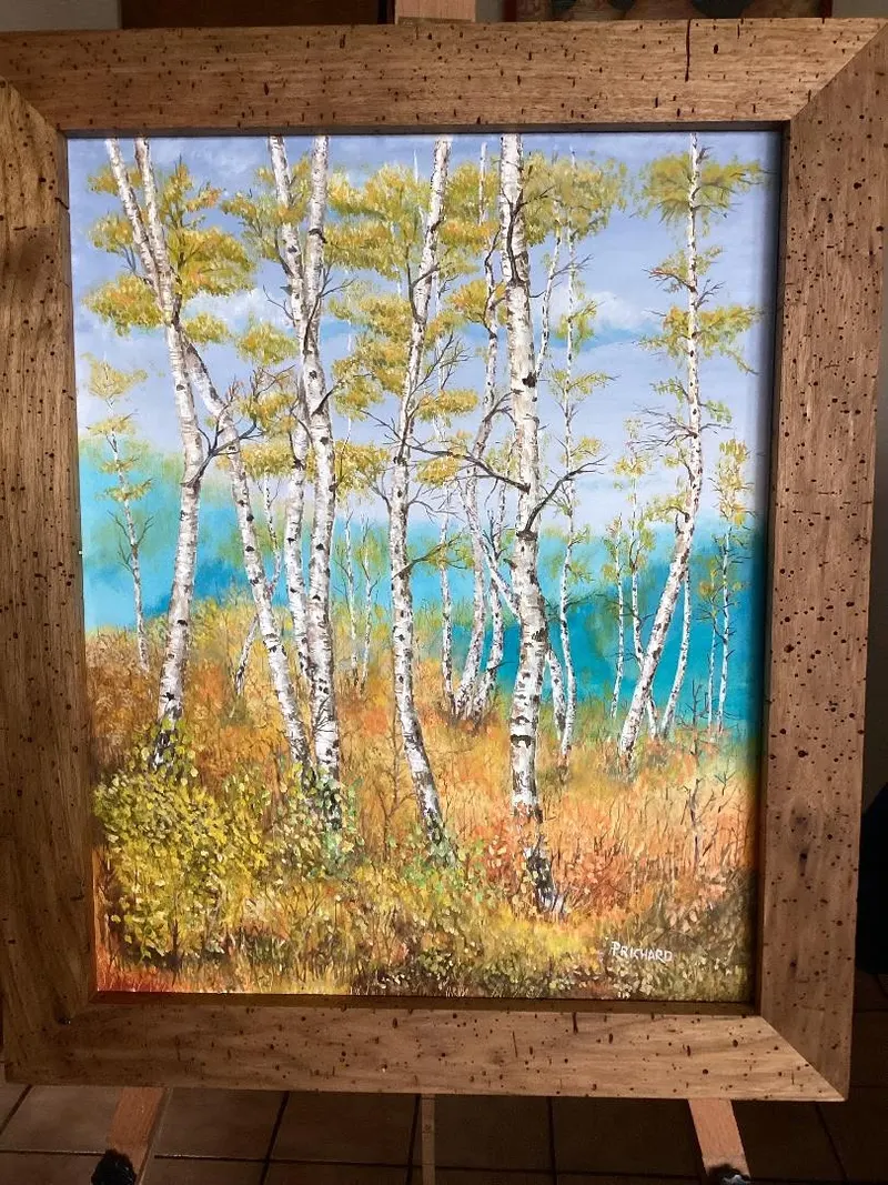 Paper Birch Trees in Fall, oil